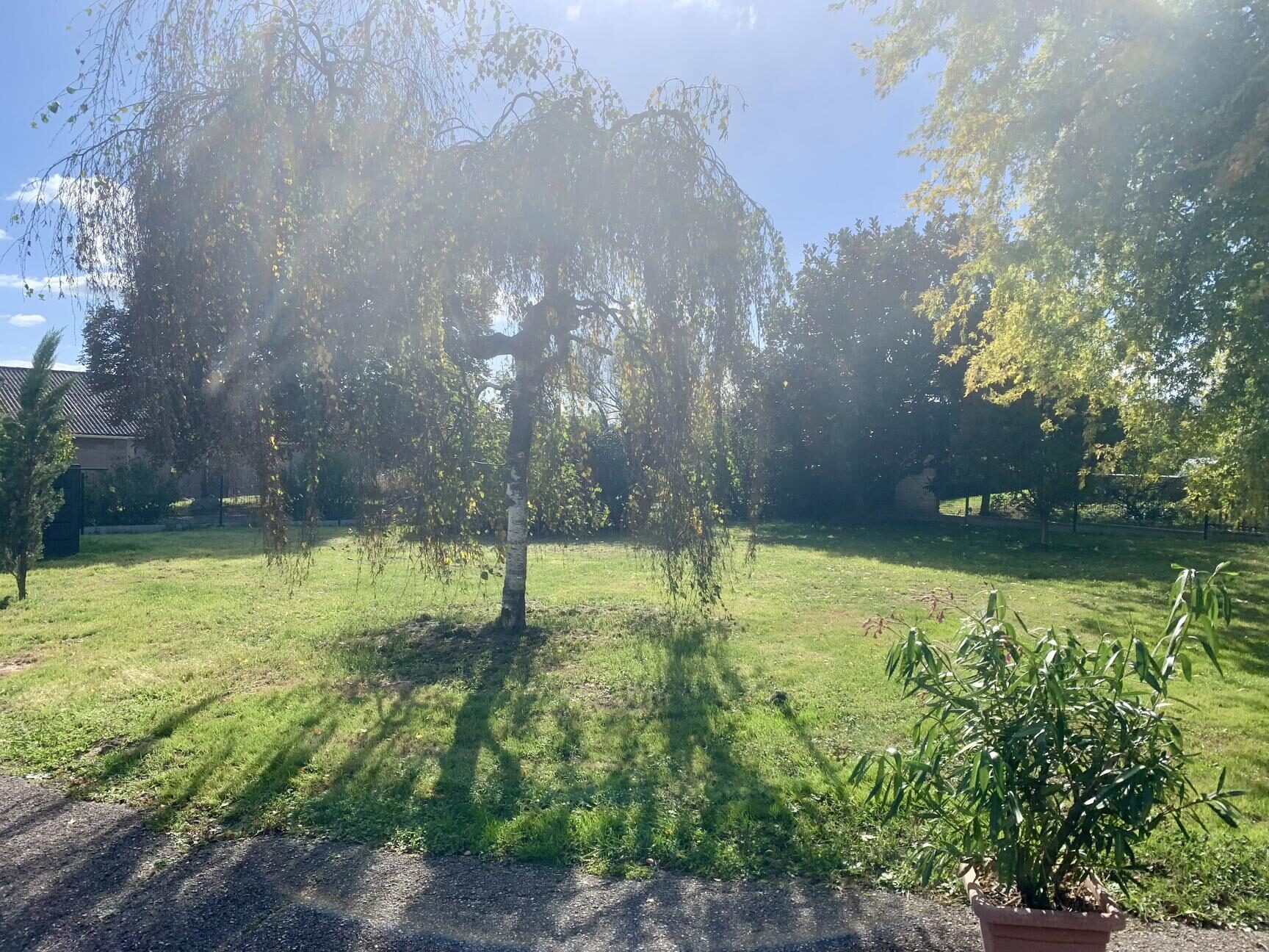 Property view 2